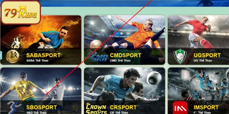 Đôi nét về sảnh thể thao SBO đăng cấp